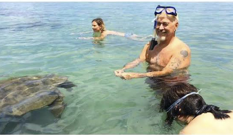 Swimming with Green Sea Turtle in Hawaii